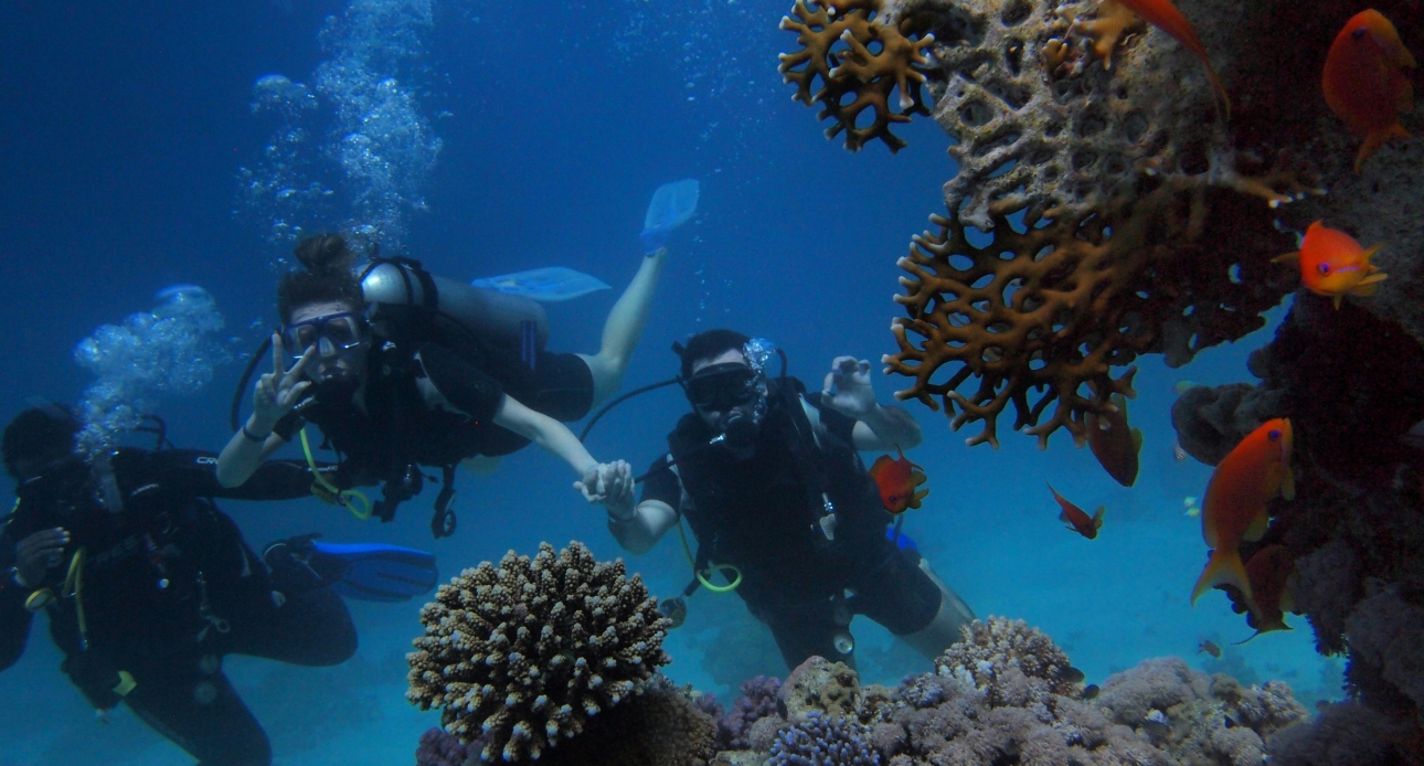 Hurghada Red Sea Egypt
