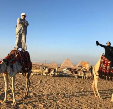 Half Day to Giza Pyramids, Sphinx, with Lunch 